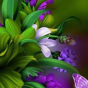 Meet your Posher, Rhonda